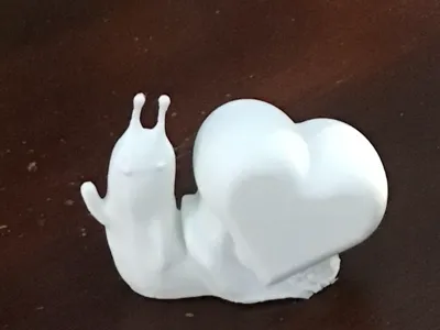 Snail with heart on its back