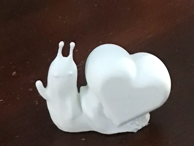 Snail with heart on its back