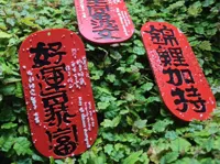 财运亨通-0.08mm 层高, 2 层墙, 15% 填充