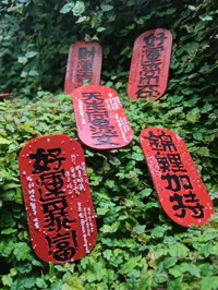锦鲤加持-0.08mm 层高, 2 层墙, 15% 填充