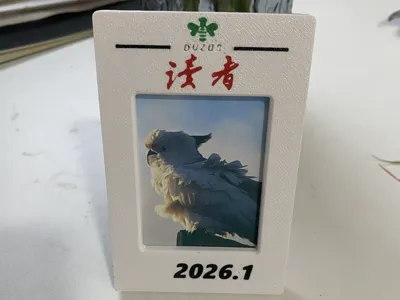 Reader Polaroid Photo Frame / Fridge Magnet