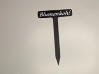 Blumenkohl