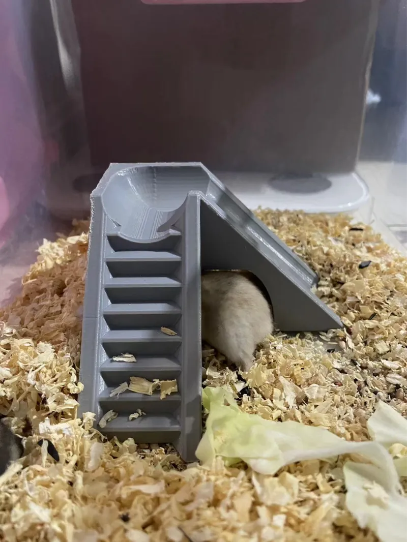仓鼠滑滑梯，爬爬梯，Hamster slide