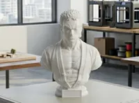 0.2mm layer, 2 walls, 15% infill