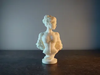 Buste de Femme en Corset