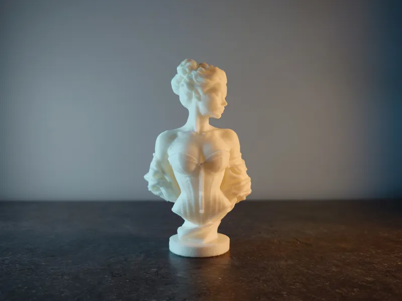Buste de Femme en Corset