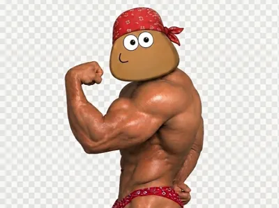 Pou X Ricardo Milos