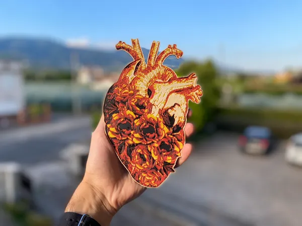 https://makerworld.bblmw.com/makerworld/model/US8b40253718a2cf/design/2024-07-30_6f3a32d737de.jpeg