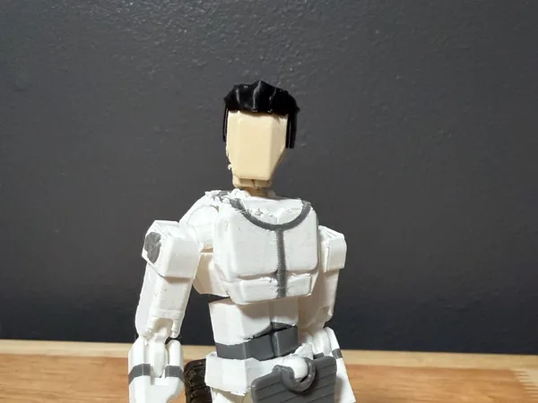 https://makerworld.bblmw.com/makerworld/model/US8b408cb7c9975c/design/bb62a41419d117ce.jpeg