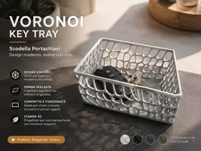 Voronoi catch-all tray with a modern and light style