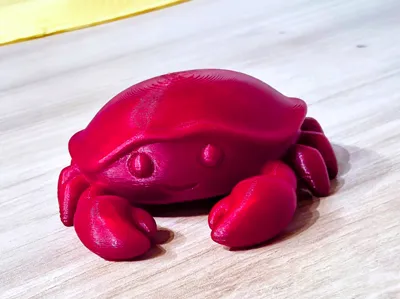 Cute little crab