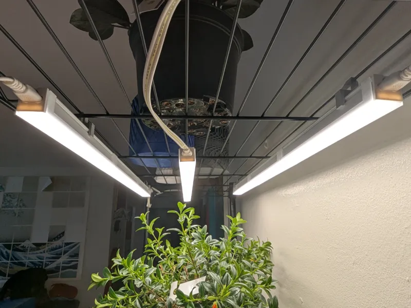 Barrina T5 LED Diffuser