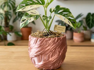 Cloudy Flower Pot