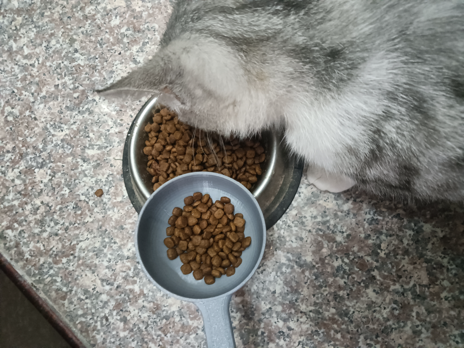 Kedi ve köpek evcil hayvan maması kaşığı kürek pirinç kaşık kaşık
