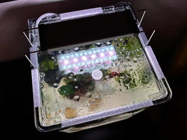 https://makerworld.bblmw.com/makerworld/model/US8b4793012ab23/design/2025-01-12_a7352a7ec615d.jpg