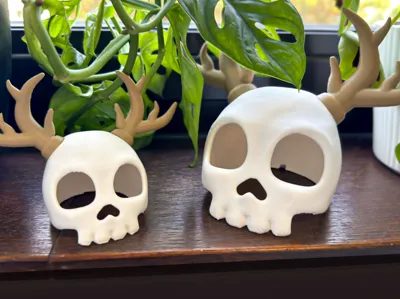 SkullWoods