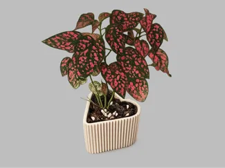 Heart-Shaped Planter with Liner