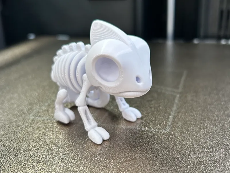 camaleonte scheletro skull articolato