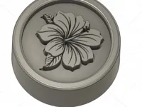 Pions fleur d'hibiscus pour jeu de dames — photo 1
