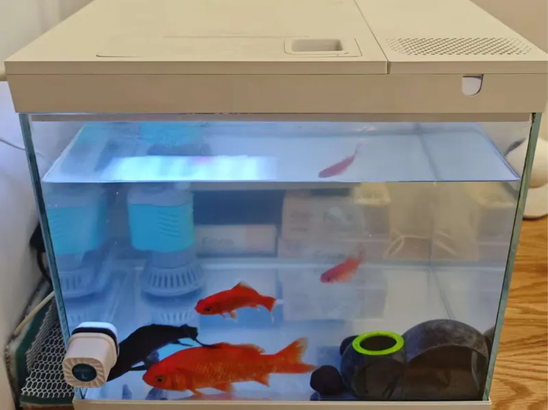 鱼缸瀑布壁挂过滤器