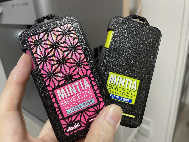 MINTIA BREEZE Case