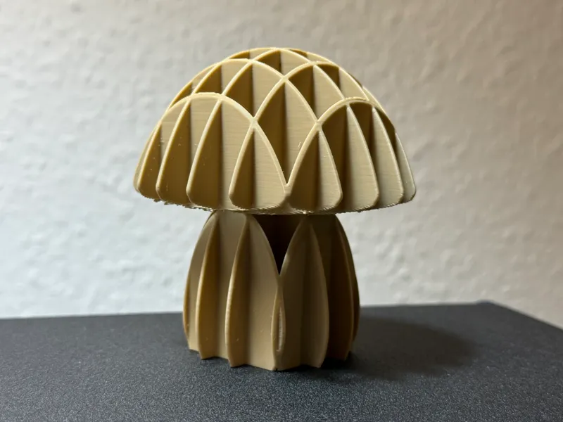 Pilz modern