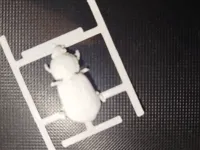 0.2mm layer, 2 walls, 5% infill