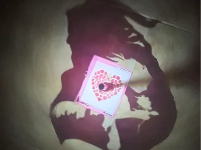 Beauty and the Beast shadow lamp