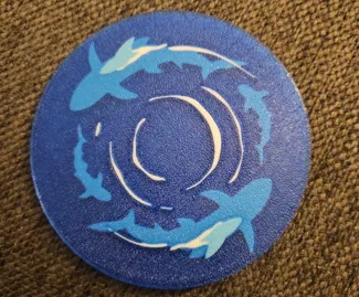 Swimming Sharks Coaster