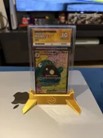 ACE Graded