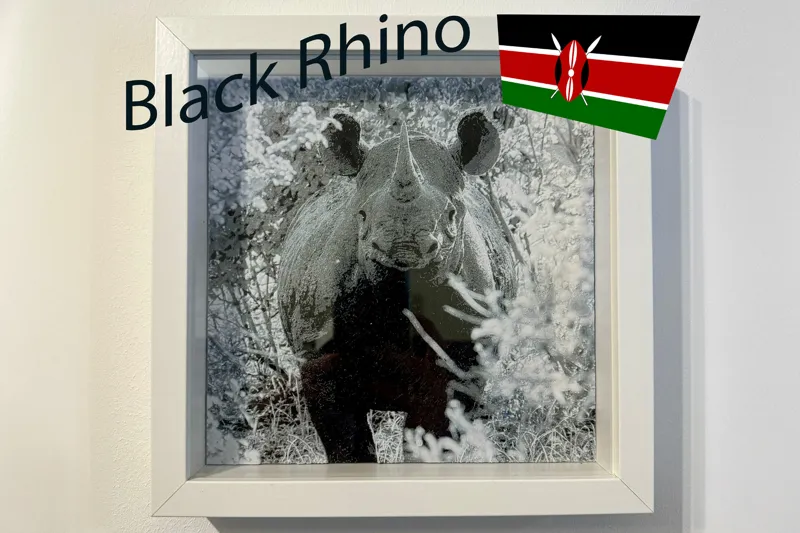 Hueforge Black Rhino Kenya (no AI) 