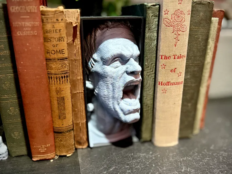 Frankenstein booknook (Dracula also available)