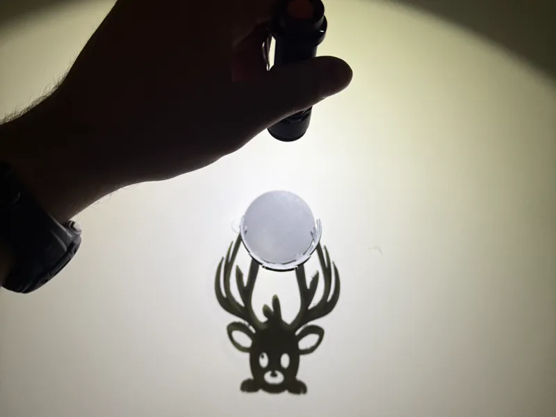Anamorphic Reindeer Shadow Sculpture Christmas