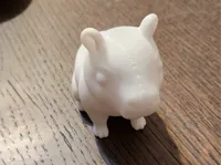 capybara voll 0.2mm layer, 2 walls, 15% infill