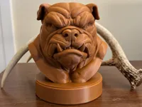 Bulldog Bust