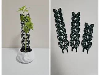 Support for plants. Plant Trellis. Leaves