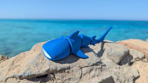 https://makerworld.bblmw.com/makerworld/model/US8b7b60c4bac028/design/2025-01-18_kax2def6diih.jpg