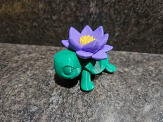 Flower Turtle