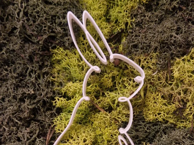 Bunny