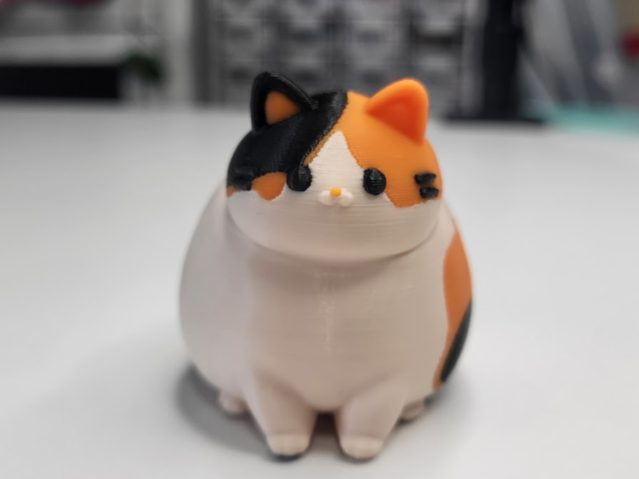 Cute Fat Cat