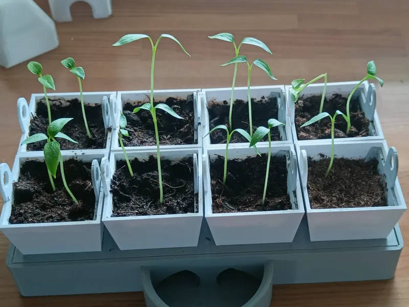 Self-Watering Seed Starter – 8 Cells