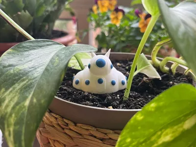 Namek House flowerpot