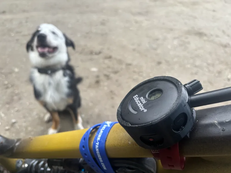 Mini Educator Bike Mount