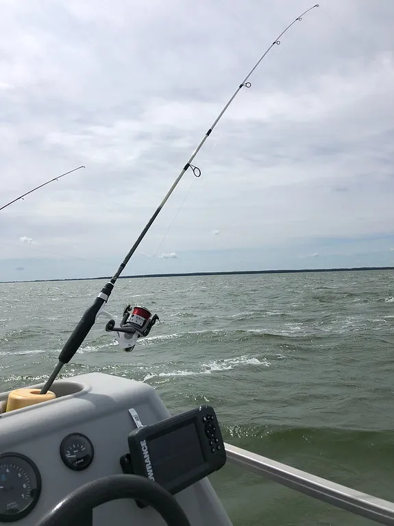 Rod holder for boat cup holder