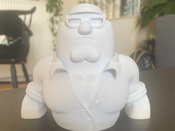 https://makerworld.bblmw.com/makerworld/model/US8b8cb63ee728dc/design/2025-08-09_f1328b39f3dae.jpeg