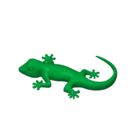 Gecko — photo 3