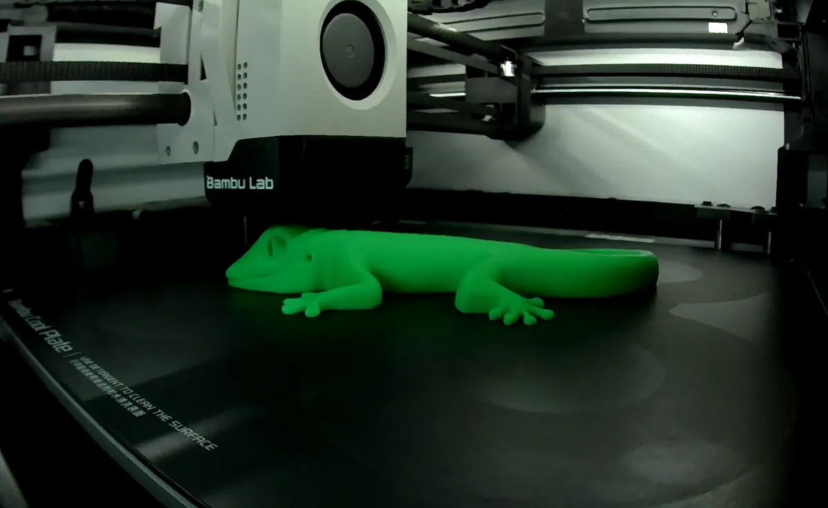 Gecko