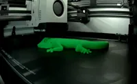 Gecko — photo 1