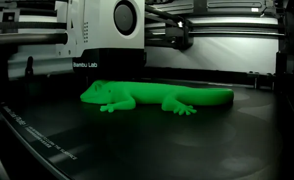 Gecko