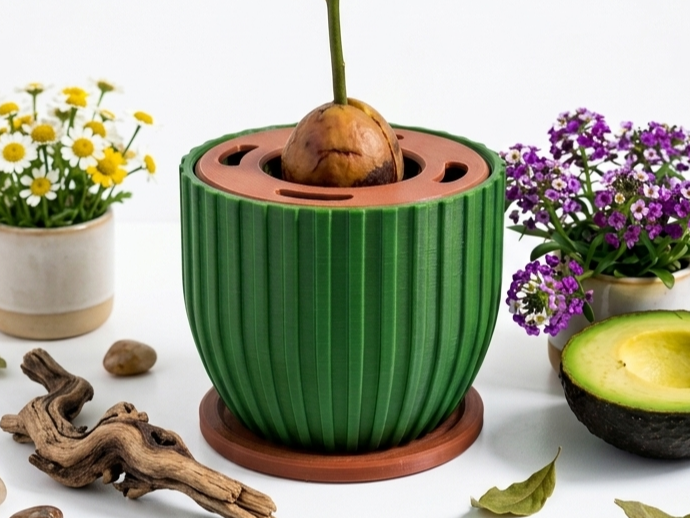 Modern Avocado Germination \ Planter \ Grower Set